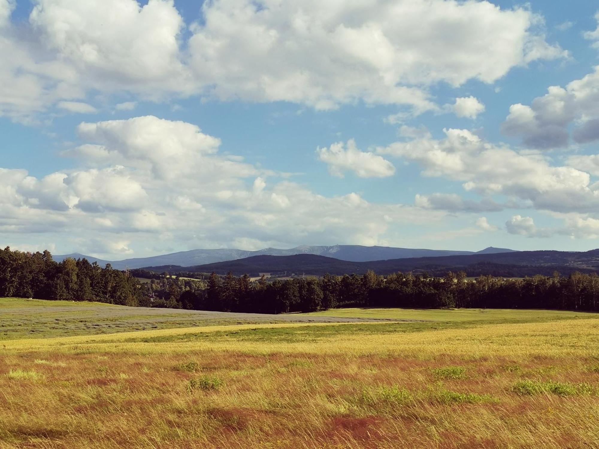 Stara Kamienica Agroturystyka U Swiatkow מראה חיצוני תמונה